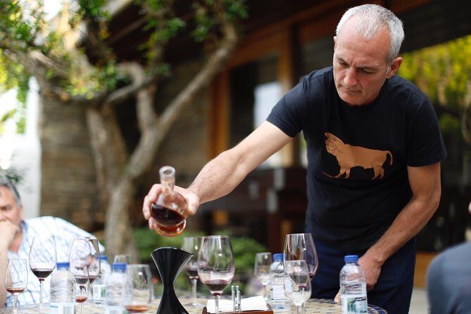 Premium Private Douro Tour: 3 Wineries with Tastings & Lunch - Porto hotel pickup to the Alto Douro: how this day really runs