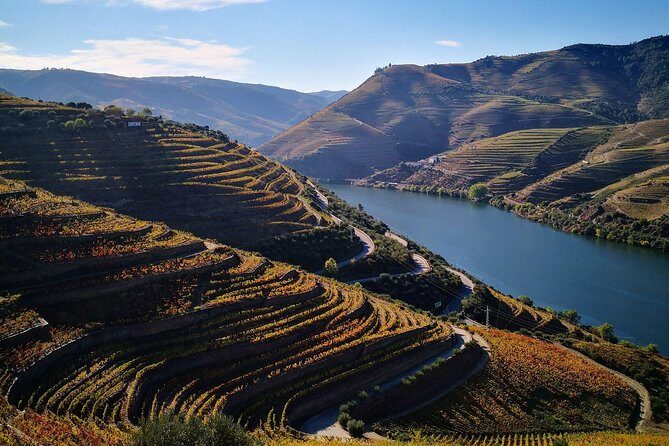 Premium Private Douro Tour: 3 Wineries with Tastings & Lunch - Quinta de Tourais: the Port lesson you came for