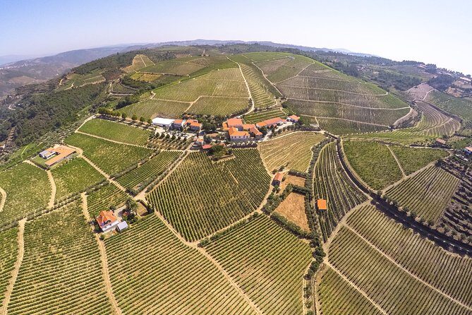 Premium Private Douro Tour: 3 Wineries with Tastings & Lunch - What’s included (and why that changes the value)