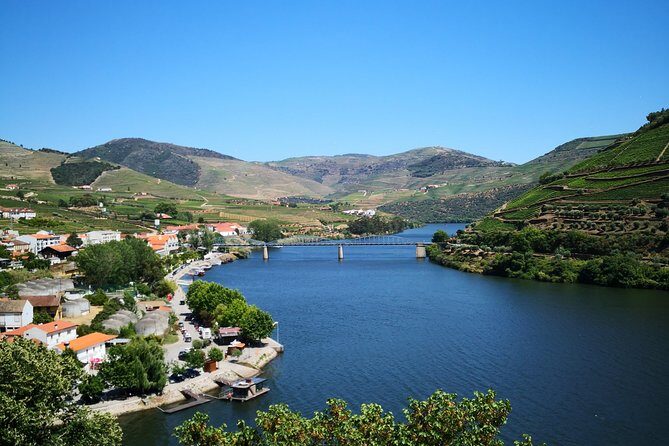 Premium Private Douro Tour: 3 Wineries with Tastings & Lunch - Practical tips for a smoother Douro day