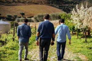 PRIVATE Day Trip Through Enchanting Douro Valley by Car & Boat - Pinhão: views over the valley and time in a wine-focused town