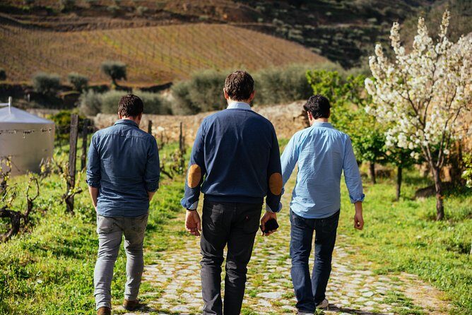 PRIVATE Day Trip Through Enchanting Douro Valley by Car & Boat - Pinhão: views over the valley and time in a wine-focused town