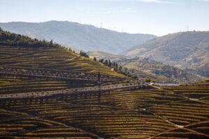 Private Douro 4x4 Adventure from Porto with Deluxe Pic nic - Picnic with a view: what the São Leonardo de Galafura stop is really for