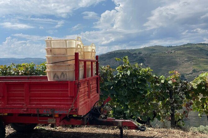 Private Douro 4x4 Adventure from Porto with Deluxe Pic nic - Quinta Seara d’Ordens: the winery visit, plus port and wine tasting