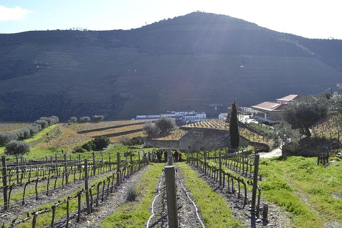 Private Douro 4x4 Adventure from Porto with Deluxe Pic nic - Should you book the Private Douro 4x4 Adventure with Deluxe Picnic?