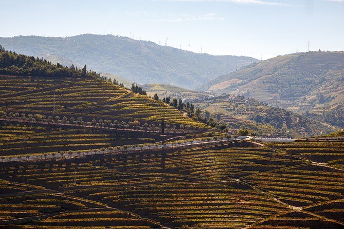 Private Douro 4x4 Adventure from Porto with Deluxe Pic nic - Picnic with a view: what the São Leonardo de Galafura stop is really for
