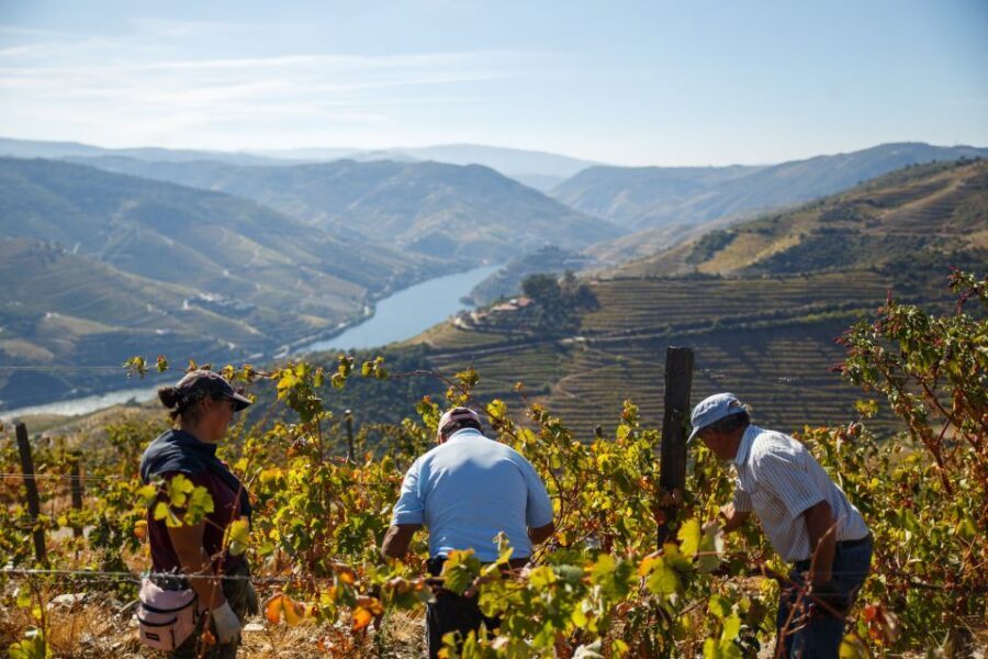 Private Douro Valley 4WD Tour with Wine Tasting and Picnic - The return to Porto: how the last 1.5 hours feels