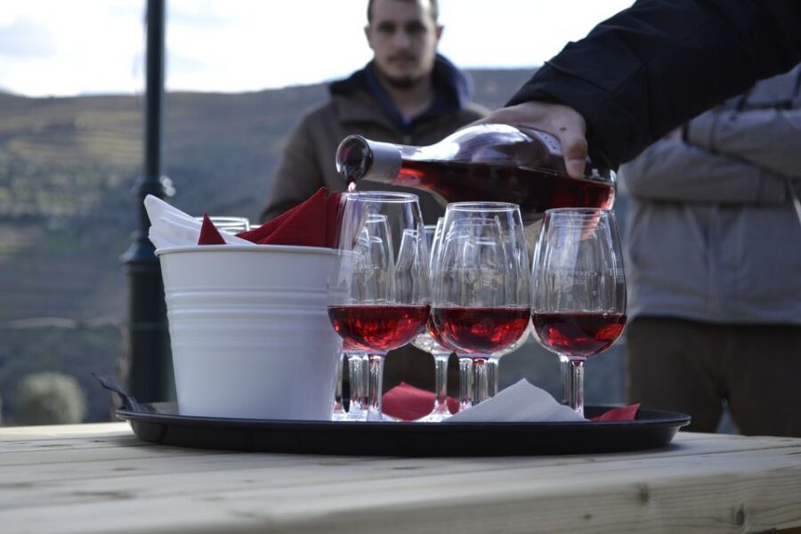Private Douro Valley 4WD Tour with Wine Tasting and Picnic - Who should book this Douro 4WD day?