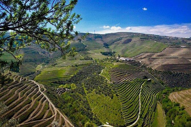 Private Douro Valley - Senses Experiences - Private Douro Valley Senses: what you’re really paying for