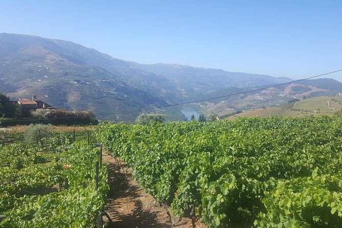Private Douro Valley - Senses Experiences - Miradouro de Sao Leonardo de Galafura: where the Douro makes sense