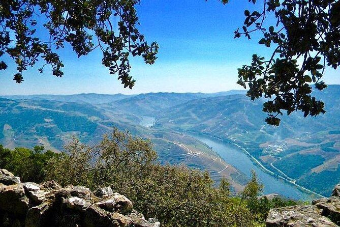 Private Douro Valley - Senses Experiences - The Douro Valley block: wine estates, food plans, and how to choose your tastings