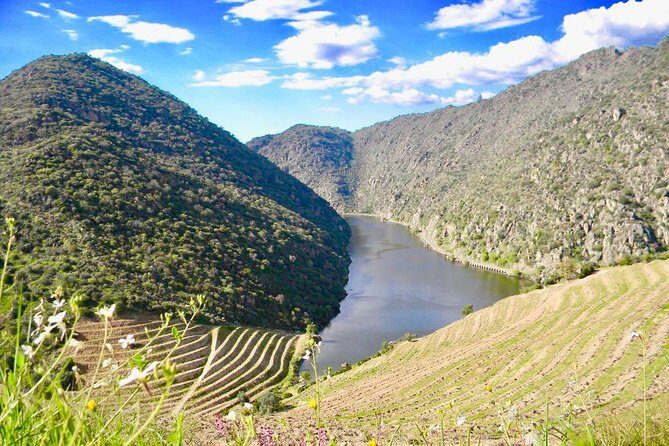 Private Douro Valley - Senses Experiences - Price and logistics: why the private format feels fair