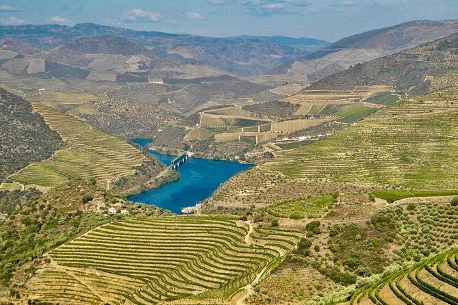 Private Douro Valley - Senses Experiences - What the 7 to 8 hours actually feels like