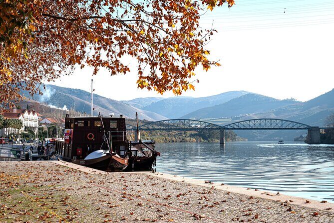 Private Douro Valley Tour: Boutique Winery & River Cruise - Key points to know before you go