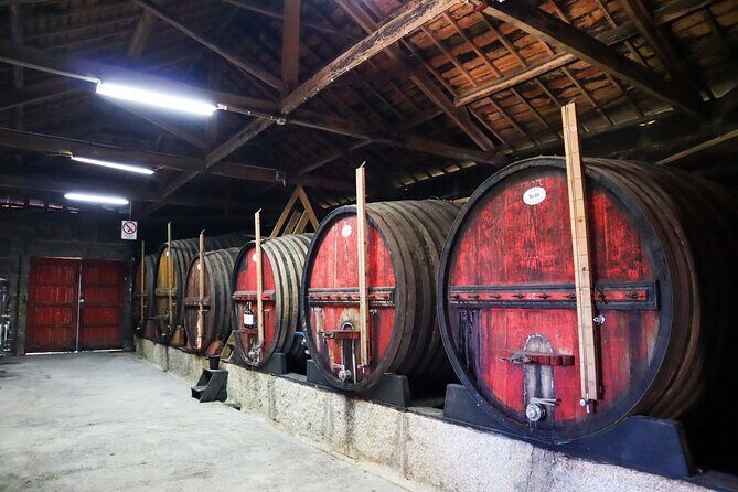 Private Douro Valley Tour: Boutique Winery & River Cruise - Pinhão lunch: Portuguese comfort with a proper break in the schedule