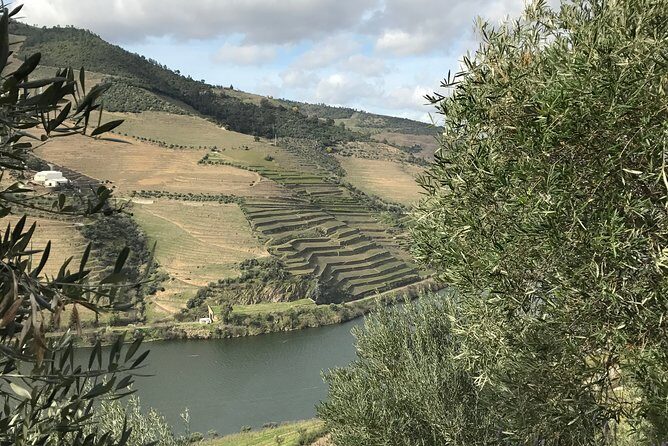 Private Douro Valley Tour Includes Wine Tasting and Boat Tour - The Magellan birthplace detour: history without getting boring