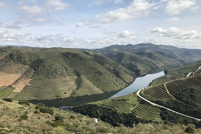 Private Douro Valley Tour Includes Wine Tasting and Boat Tour - Guides who make the wine and history click: Felipe and Ricardo as examples
