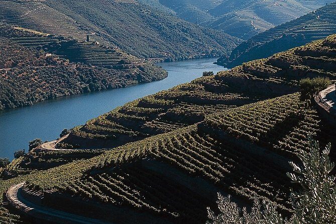 Private Douro Valley Tour Includes Wine Tasting and Boat Tour - Pinhão train station tiles: a surprisingly memorable stop