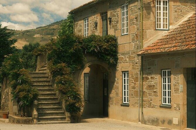 Private Douro Valley Tour with Lunch & Wines - Celeiros family winery: cellar time, Douro wines, and typical Portuguese dishes