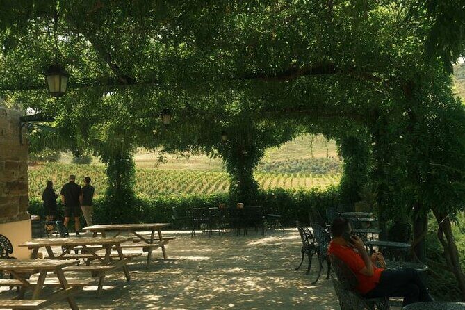 Private Douro Valley Tour with Lunch & Wines - Comfort and pacing: who this tour suits best