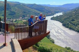 Private Douro Valley UNESCO Wine Tour from Porto with Lunch - Two wineries, one focused tasting day