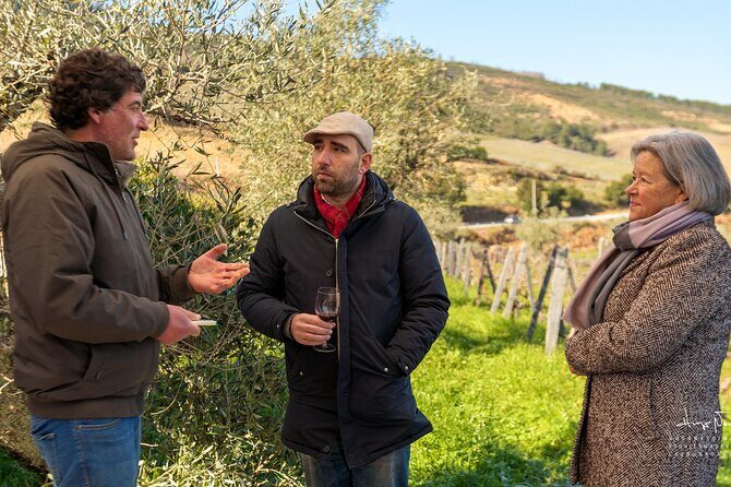 Private Douro Valley UNESCO Wine Tour from Porto with Lunch - Who this tour suits best (and who should think twice)