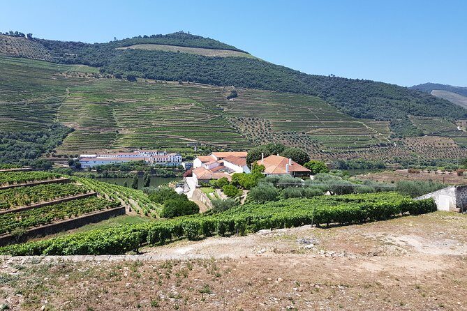 Private Douro Valley visit to three vineyards with Lunch from Porto - What You’re Getting: Private Guide, Real-World Shared Stops