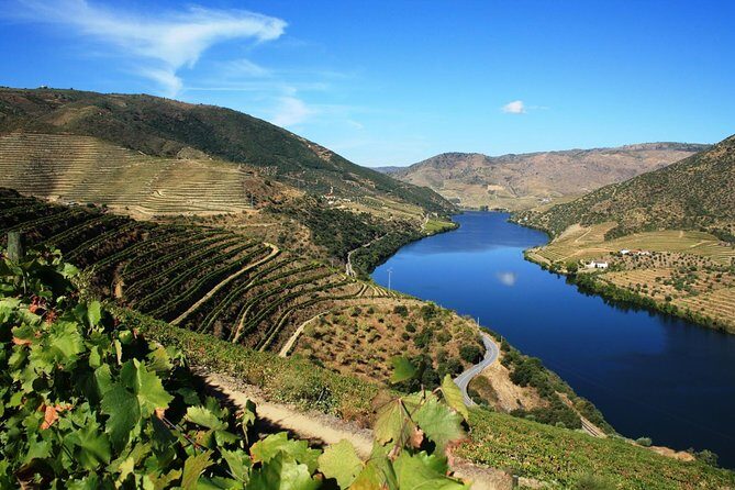 Private Douro Valley visit to three vineyards with Lunch from Porto - Stop 1 in Lamego: Family Vineyard Tasting + Terraced Views