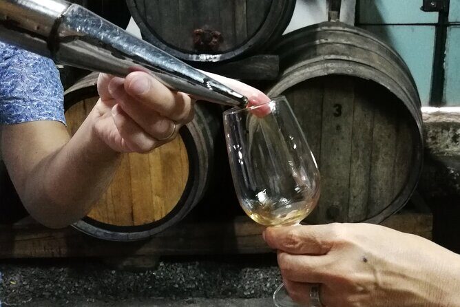Private Douro Valley Wine Tour - Key things that make this private Douro tour worth your day