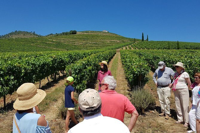 Private Douro Valley Wine Tour: 2 Wine Estates, Lunch and Cruise - Key things that make this Douro tour work