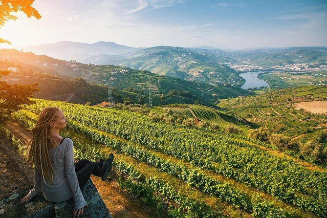 Private Douro Valley Wine Tour: 2 Wine Estates, Lunch and Cruise - Getting from Porto to the Douro at 9:00 a.m. (and why it matters)