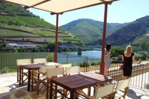 Private Douro Valley Wine Tour: 2 Wine Estates, Lunch and Cruise - Sabrosa first winery: tastings now, lunch later (the smart flow)