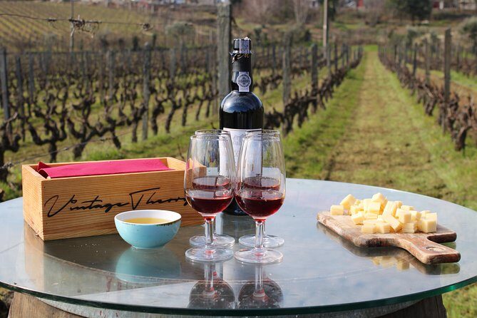 Private Douro Valley Wine Tour: 2 Wine Estates, Lunch and Cruise - Pinhão cruise on a Rebelo boat: the most relaxing 45 minutes