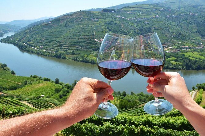 Private Douro Valley Wine Tour: 2 Wine Estates, Lunch and Cruise - How private guidance changes the day (and what to look for)