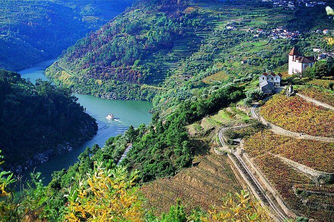 Private Douro Valley Wine Tour: 2 Wine Estates, Lunch and Cruise - Lunch value: the included meal is a big part of why the price works