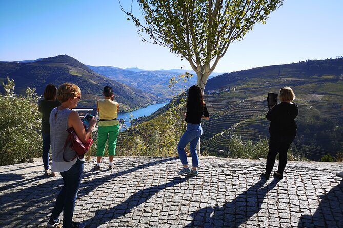 Private Douro Valley Wine Tour + Lunch and Boat Cruise - Why Pinhão Is the Right Base for a Douro Valley Day