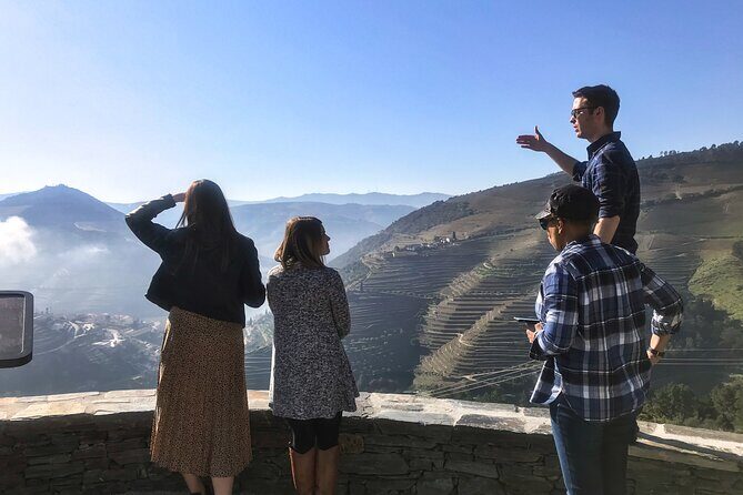 Private Douro Valley Wine Tour + Lunch and Boat Cruise - Miradouro Torguiano: Your Shortcut to Douro Geography and Port Shipping