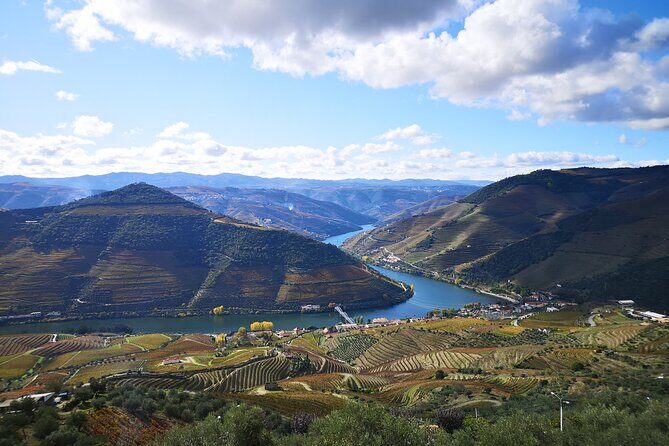 Private Douro Valley Wine Tour + Lunch and Boat Cruise - Lunch in the Middle of It All: How to Keep the Day From Feeling Like a Sprint
