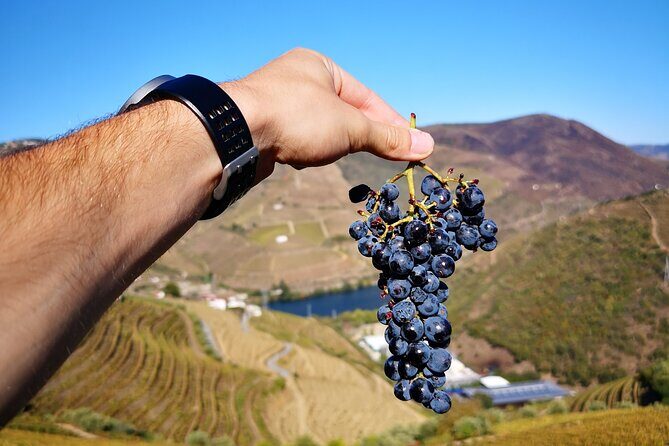Private Douro Valley Wine Tour + Lunch and Boat Cruise - The Pinhão 1880 Railway Station: Tile Art With Real Local Meaning