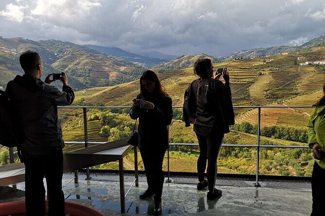 Private Douro Valley Wine Tour + Lunch and Boat Cruise - Value: What You Pay For in a Private Douro Day