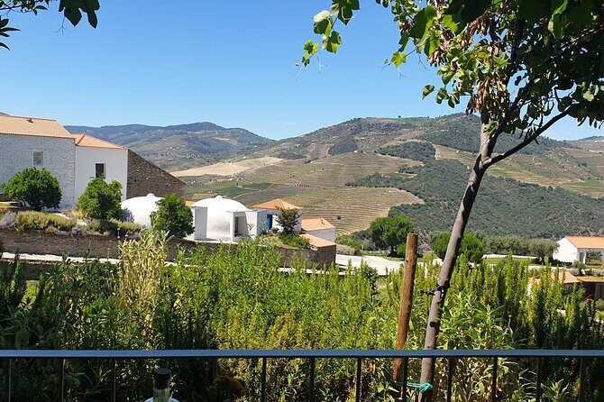 Private full-Day Tour to Douro Valley - Key highlights you’ll actually notice