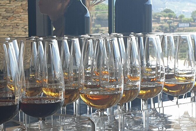Private full-Day Tour to Douro Valley - Porto to the Douro: the 08:30 plan that saves you stress