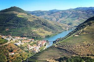 Private off the beaten Douro Valley Wine Tour - Hotel Pickup and the Morning Drive: Setting the Tone