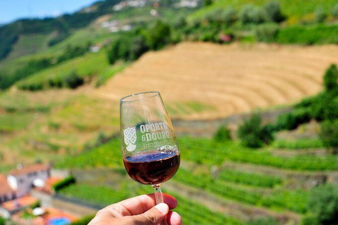 Private off the beaten Douro Valley Wine Tour - N222 and Valença do Douro: The Photo Stretch You’ll Remember