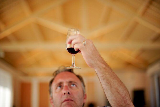 Private off the beaten Douro Valley Wine Tour - Second Winery and Port Tasting at Lamego: Why This Stop Works