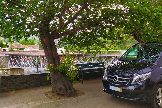 Private Premium Wine Experience through Douro Valley - A private Douro Valley day that moves at your pace