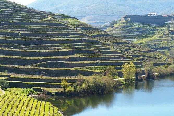 Private Premium Wine Experience through Douro Valley - Bagaúste: a private eco-electric boat ride with snacks and cocktails
