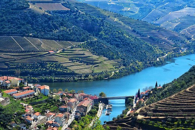 Private Premium Wine Experience through Douro Valley - Transportation, timing, and comfort: what you’re paying for
