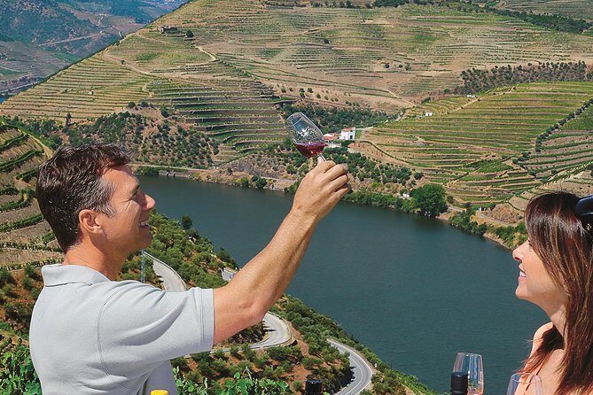 Private Premium Wine Experience through Douro Valley - Price and value: does $733.69 make sense?