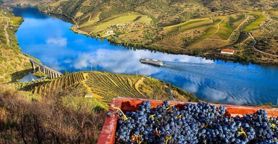 Private Tour: Douro Valley Wine and Food From Porto - FAQ